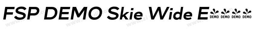 FSP DEMO Skie Wide E字体转换